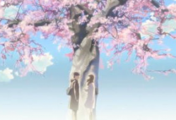 樱花.动漫,绽放青春的幻想世界